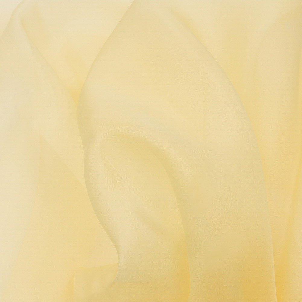 Silk Organza 44