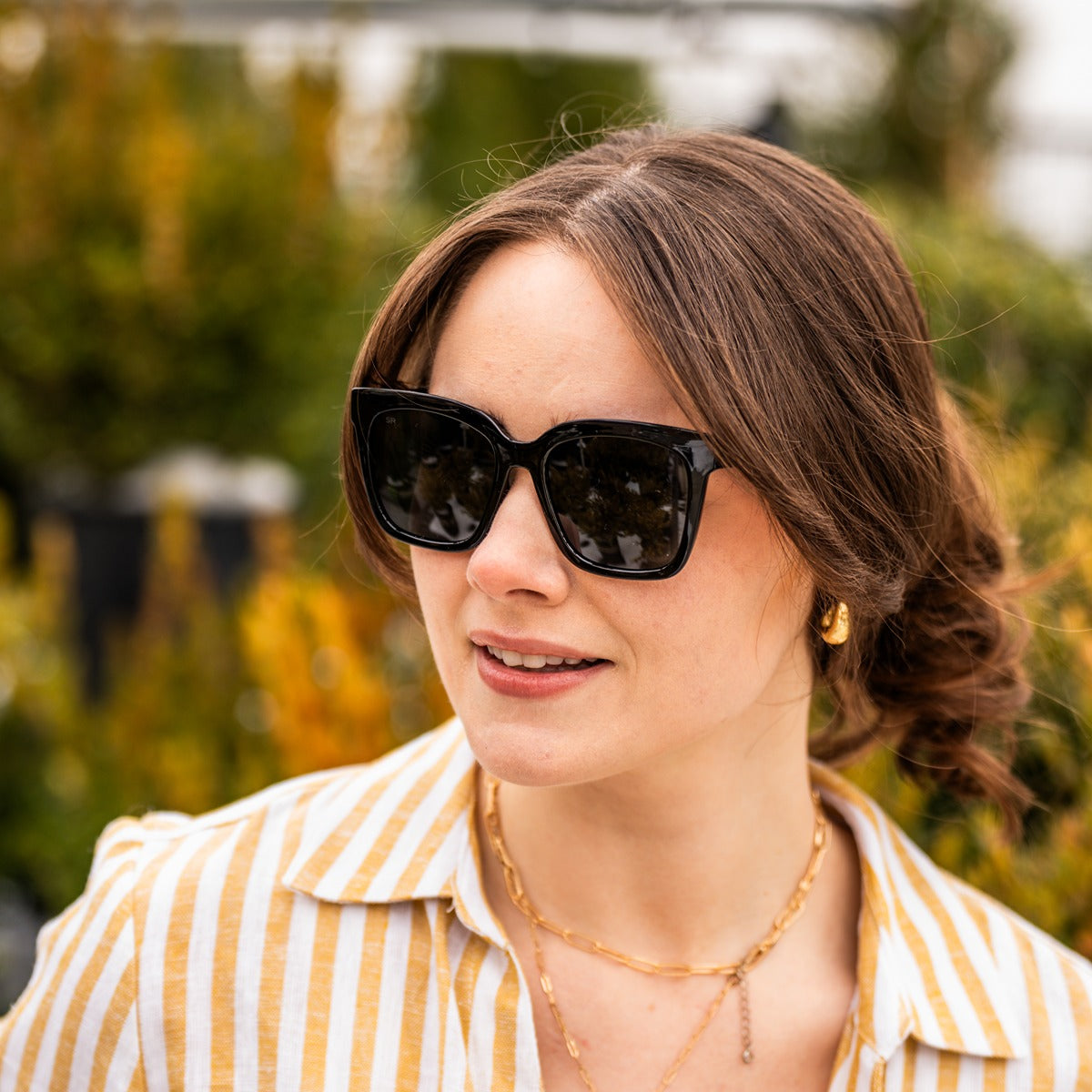 Azalea – Midnight Polarized