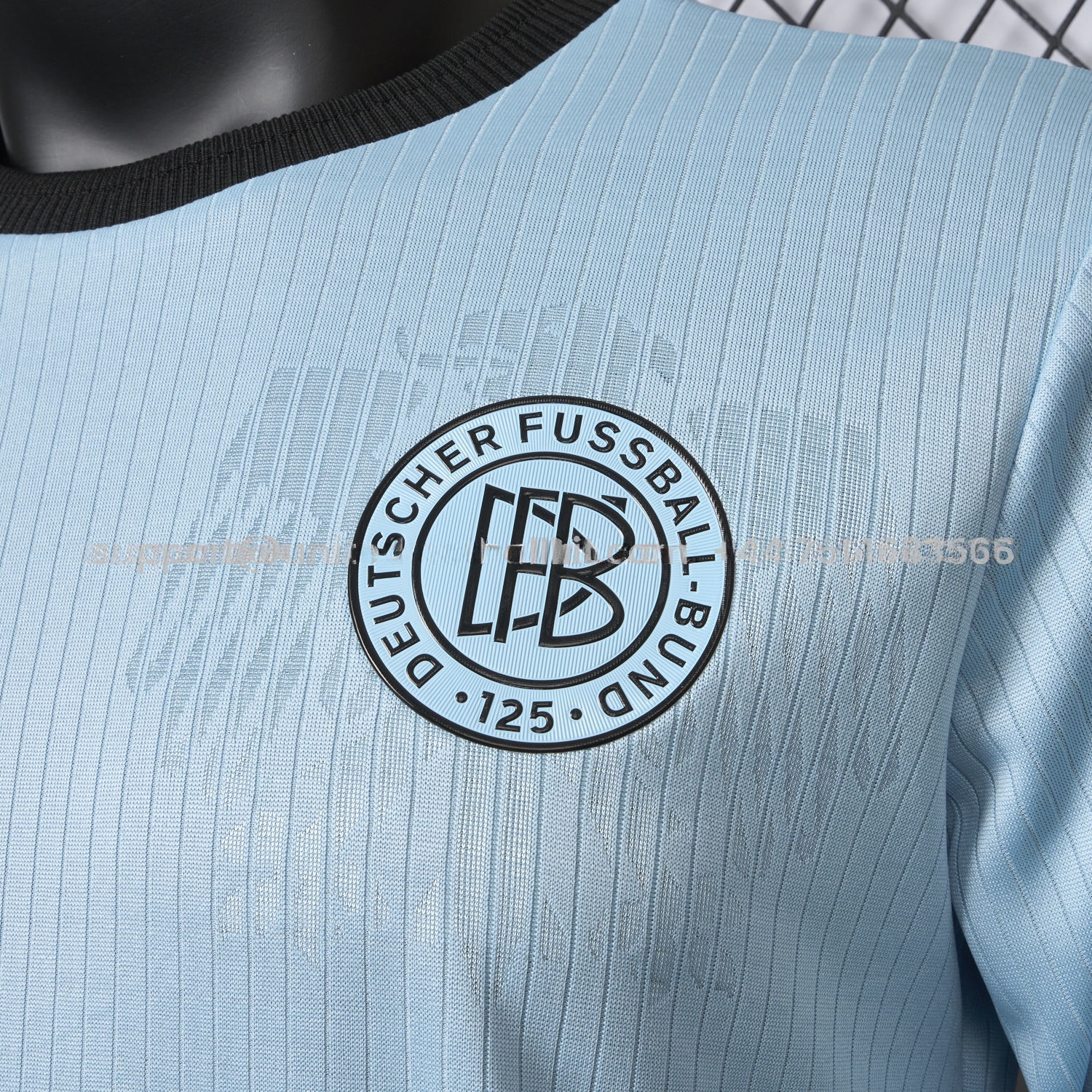 Germany 2025 125-Year Anniversary GK Blue Long Sleeve Jersey - Player Version - UnitedFutballJersey