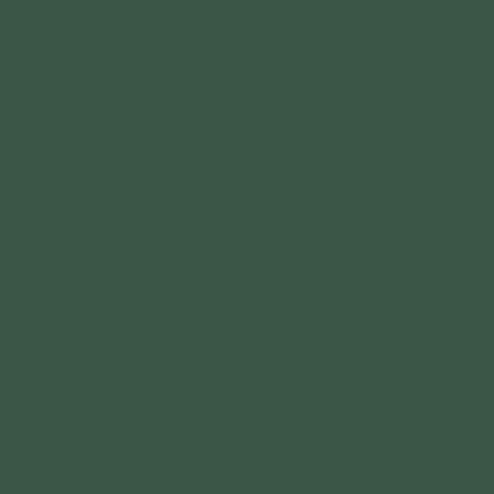 Gutermann Sew All Thread 100m - 788 Dark Green - Joann Fabrics