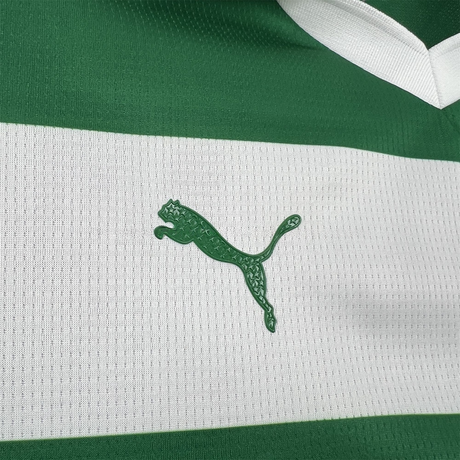 Women's Palmeiras 25-26 Avanti Commemorative Jersey - UnitedFutballJersey