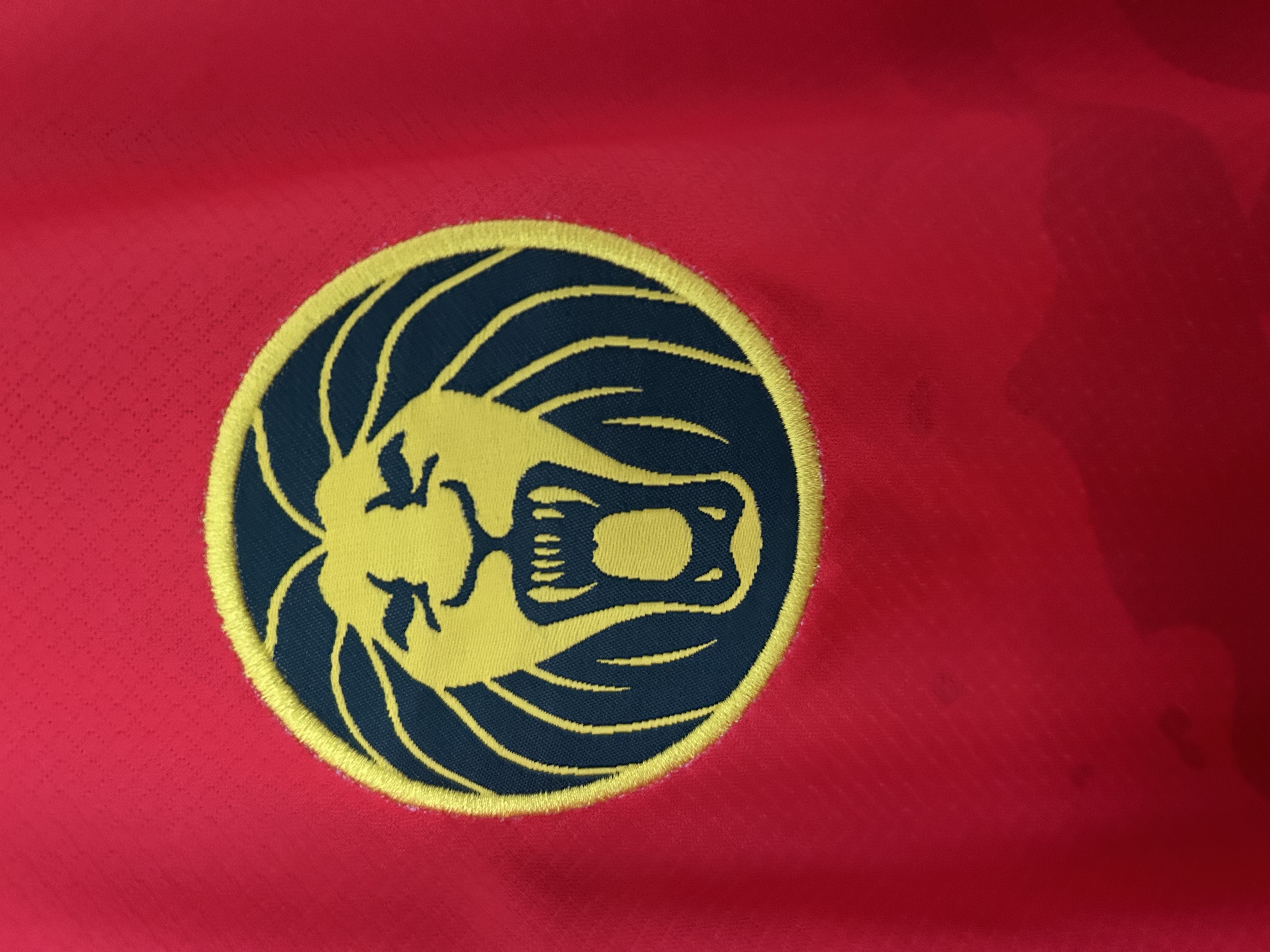 2025/2026 Cameroon Away Football Shirt 1:1 Thai Quality