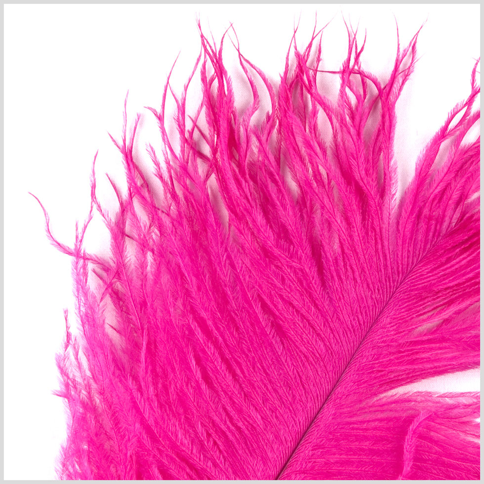Hot Pink Ostrich Feather - 10