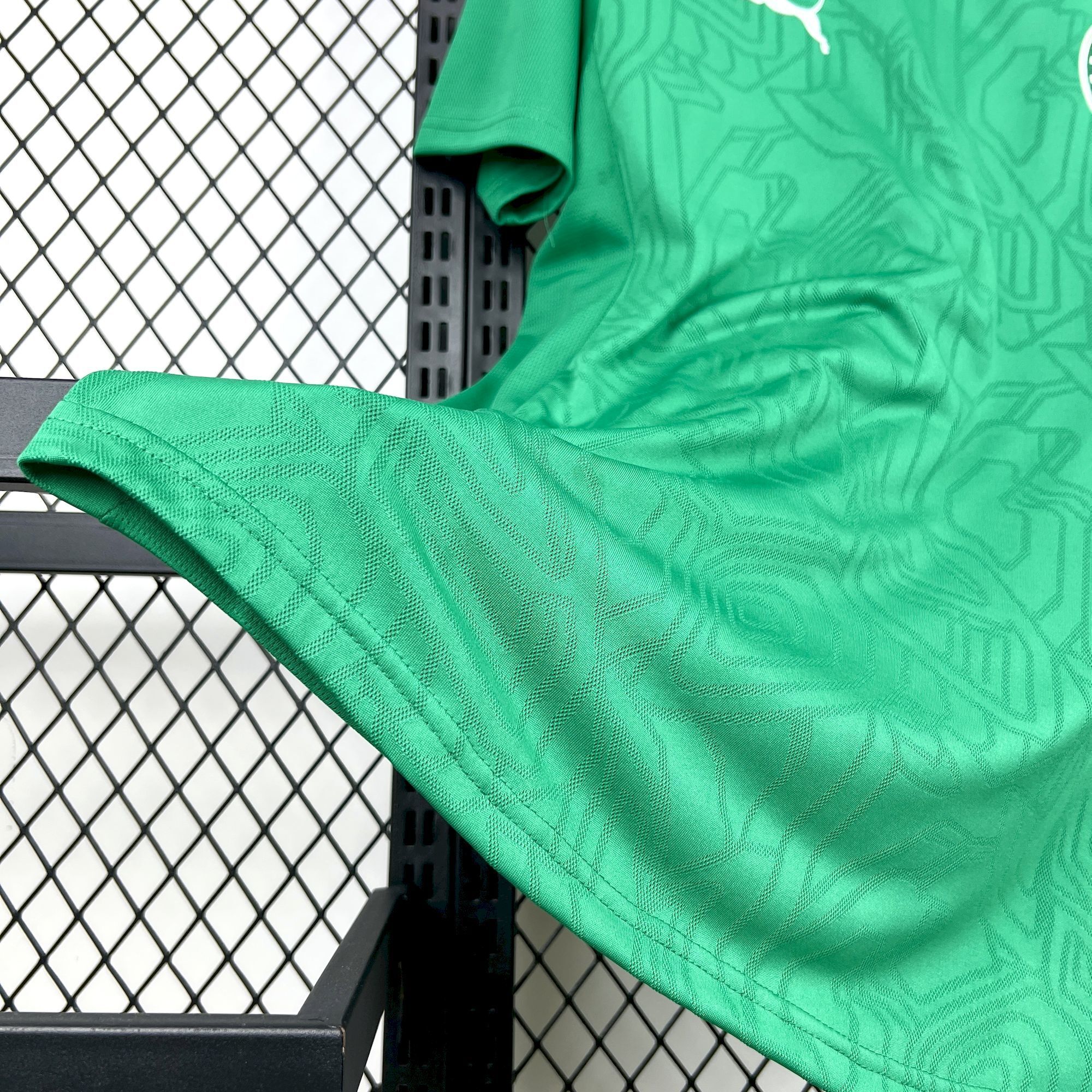 2025/2026 Palmeiras Training clothes Green Football Jersey 1:1 Thai Quality