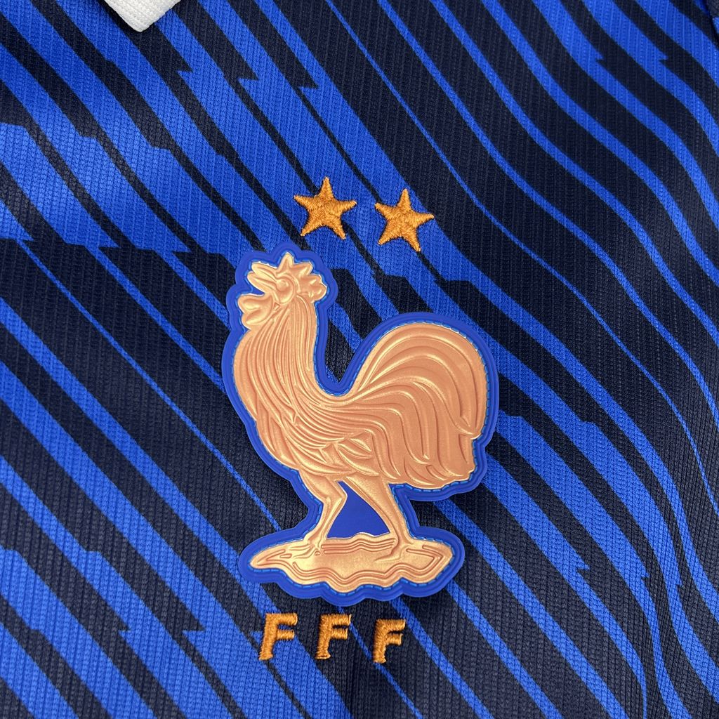 France 2026 World Cup Blue Polo Home Football Shirt | Fan
