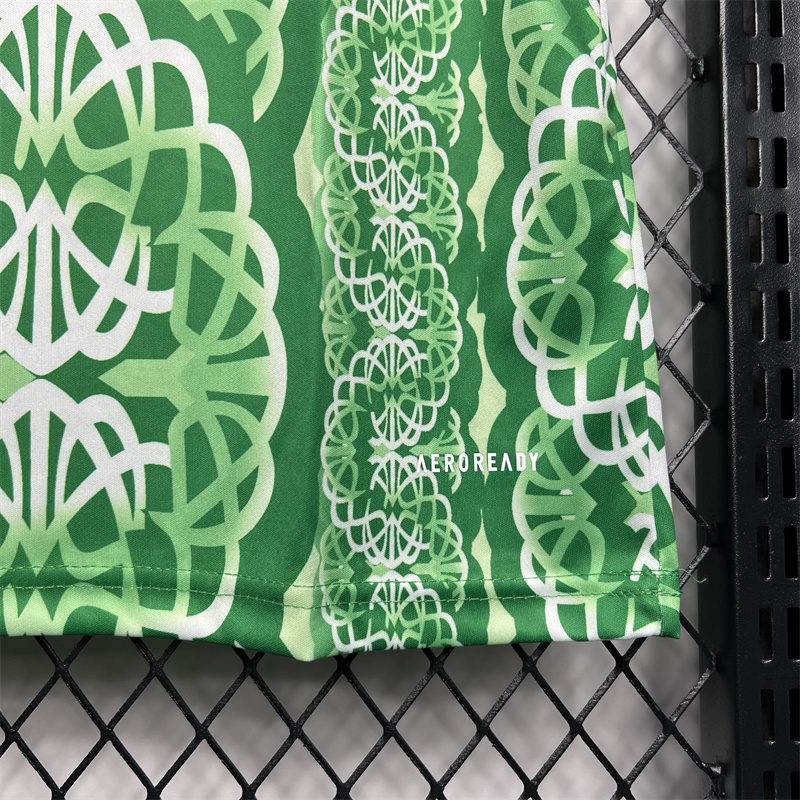 2024/2025 Celtic Pre-match Training Football Shirt  1:1 Thai Quality