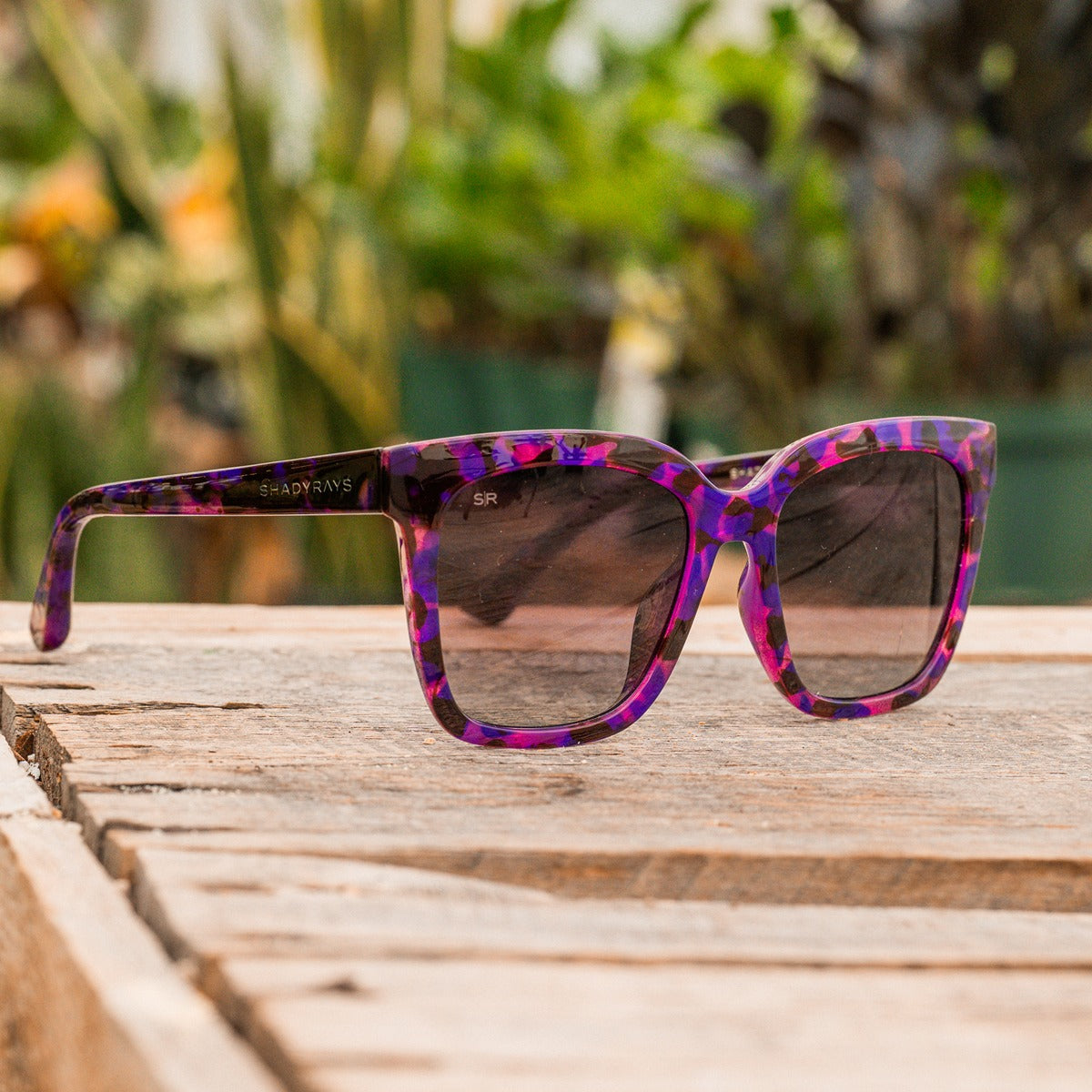 Azalea – Galaxy Tortoise Polarized