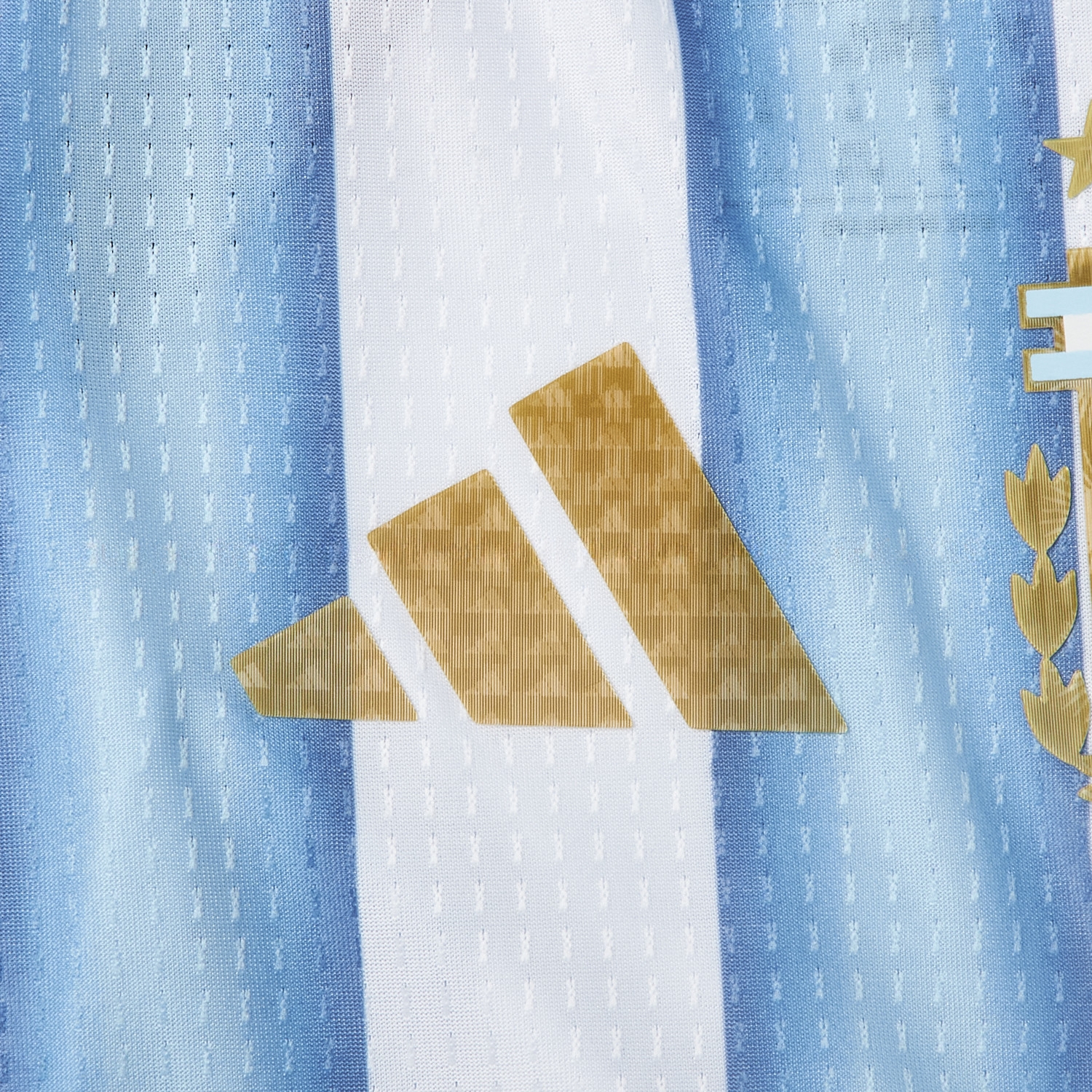 Argentina 2026 Home Pet Jersey - Player Version - UnitedFutballJersey