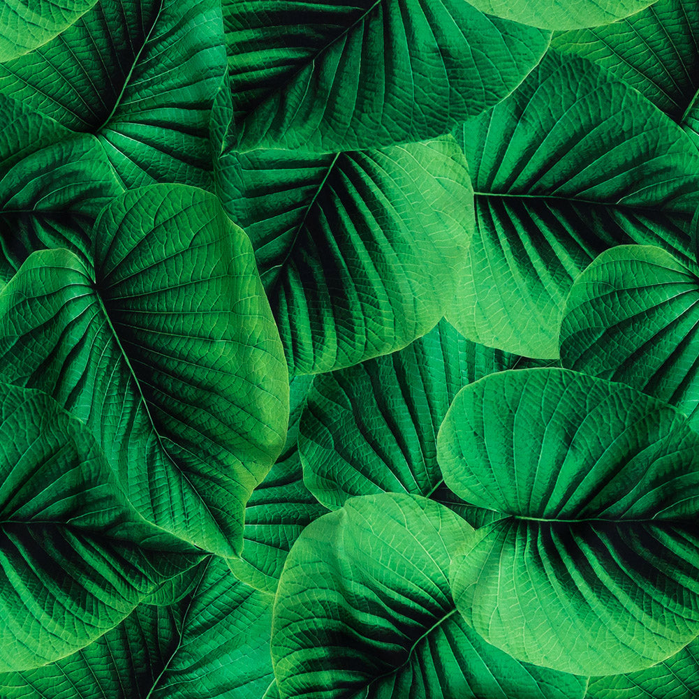 Compression Swimwear Tricot, UV Protective with Aloe Vera Microcapsules - Full Amazon Green Leaves - Caye Collection - Joann Fabrics