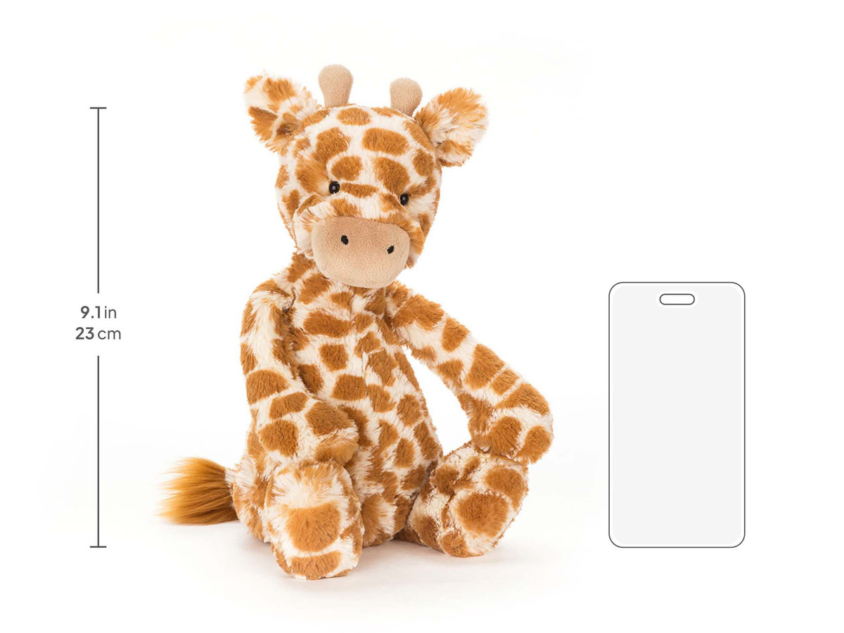 Bashful Giraffe