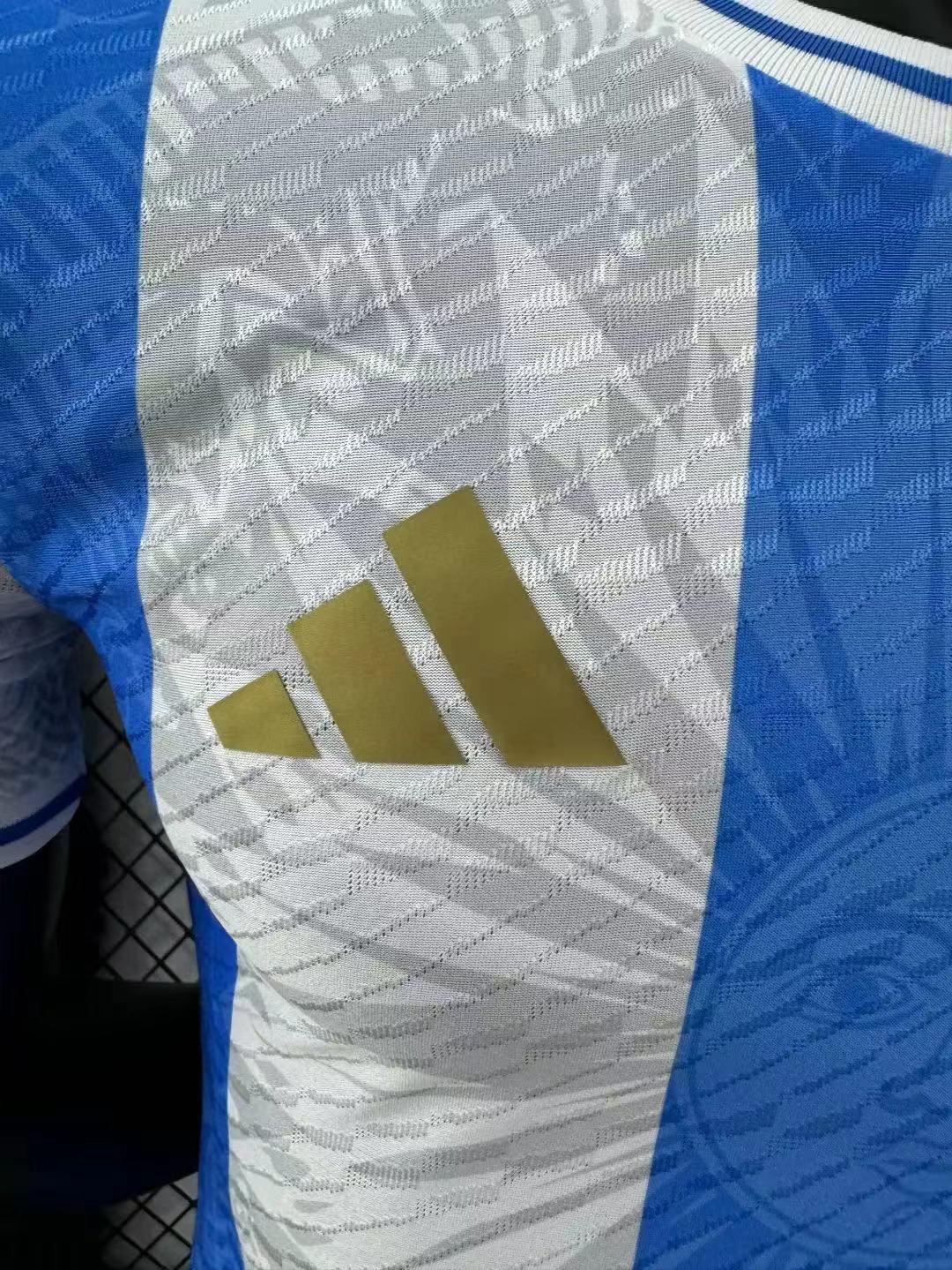 2024/2025 Player Version Argentina Special Edition Jersey 03