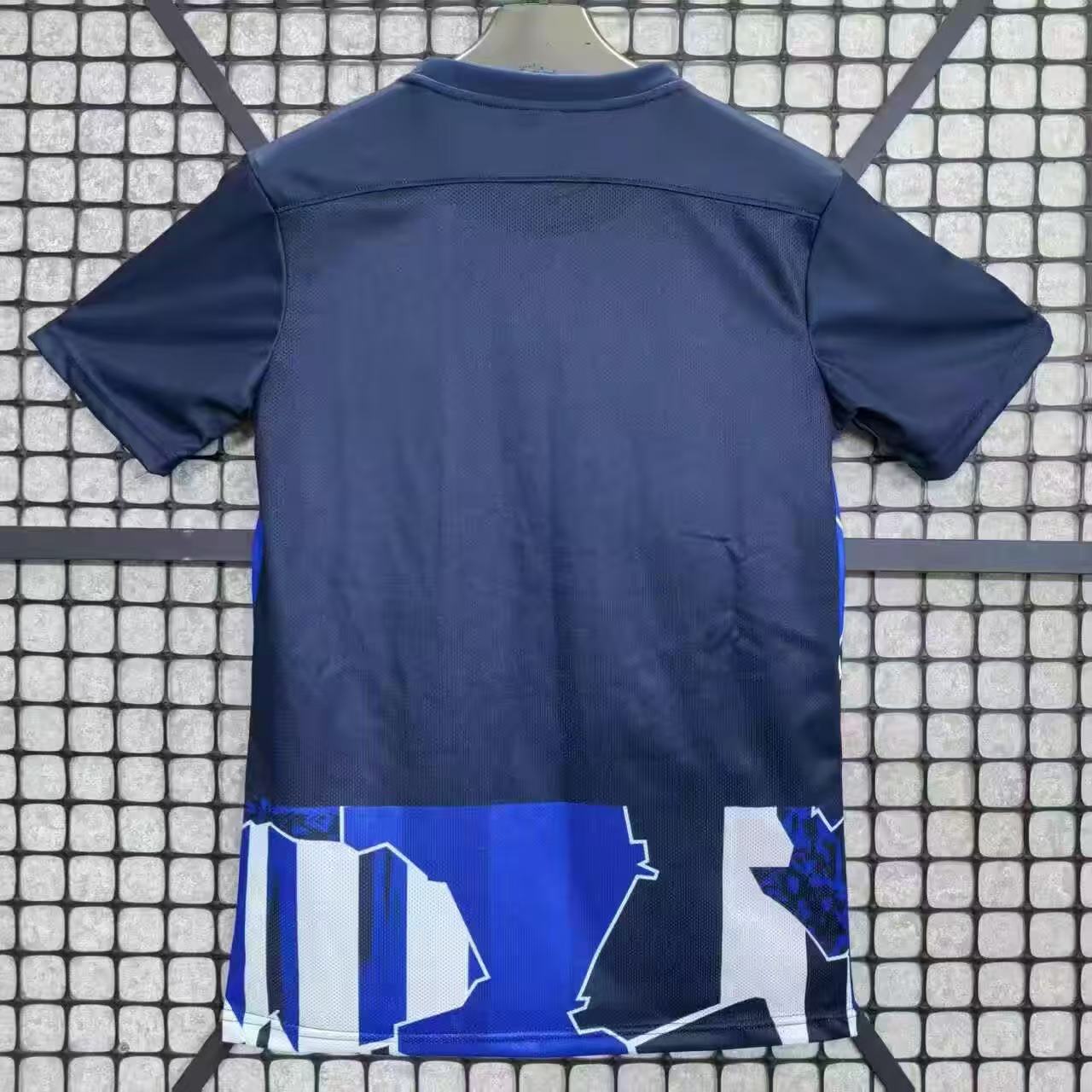2025-2026 Hertha BSC Special Edition Football Jersey 1:1 Thai Quality