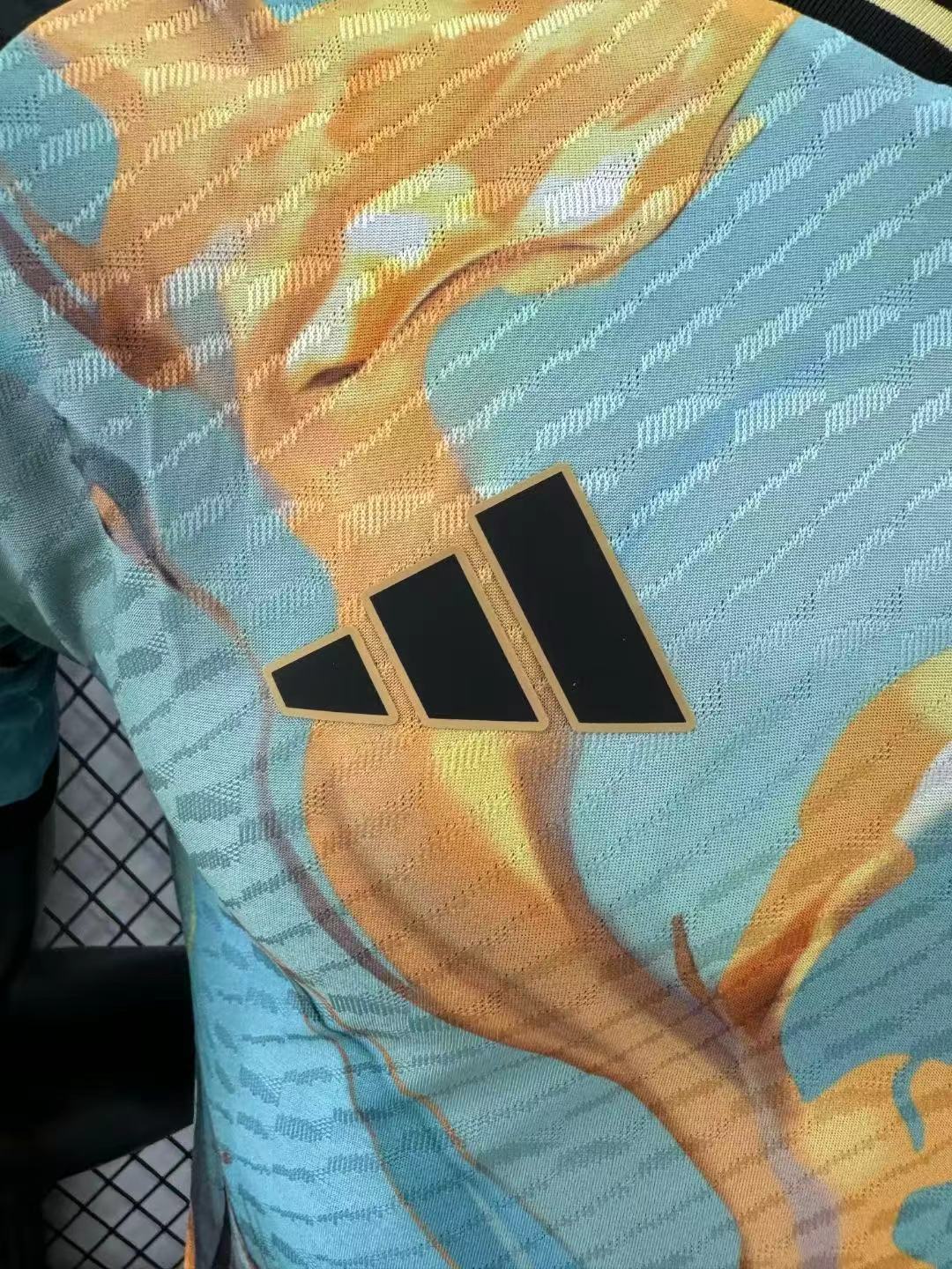 2024/2025 Player Version Argentina Special Edition Jersey 02