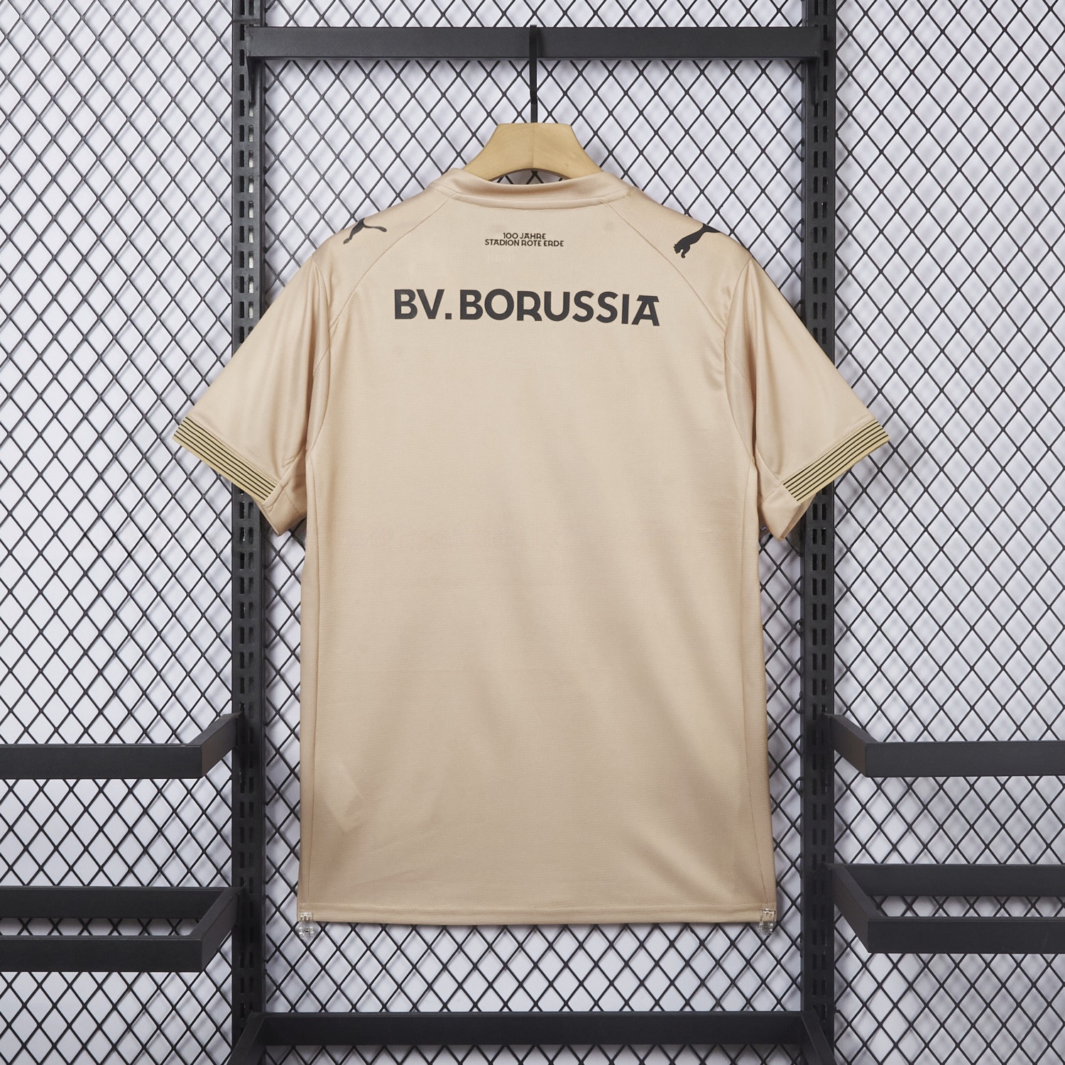 Dortmund 25-26 “100 JAHRE STADION ROTE ERDE” Beige Goalkeeper Special Jersey - Fans Version - UnitedFutballJersey