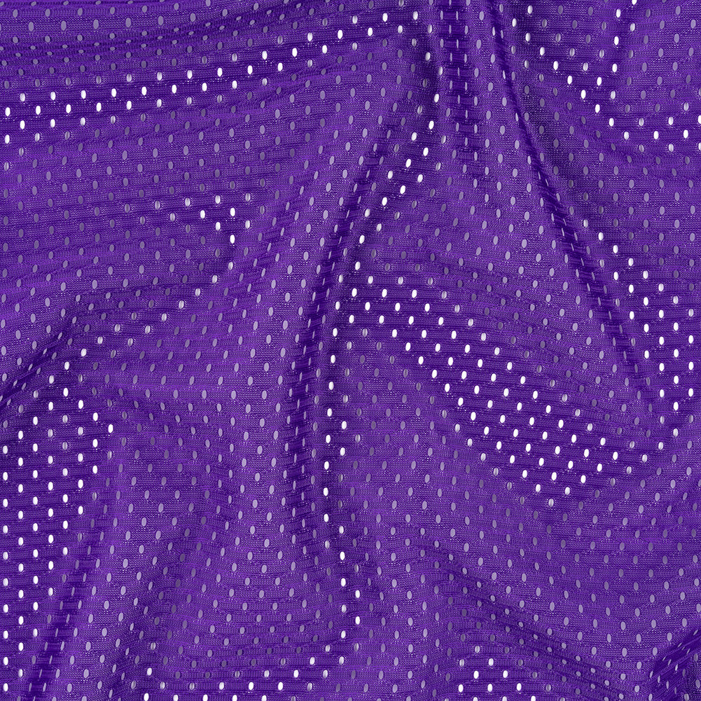 Polyester Athletic Mesh - Purple - Heracles Collection - Joann Fabrics