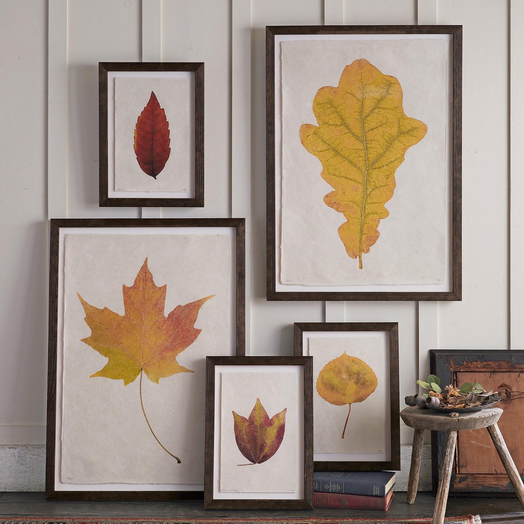 Leaf Studies Print - Blair Catalog