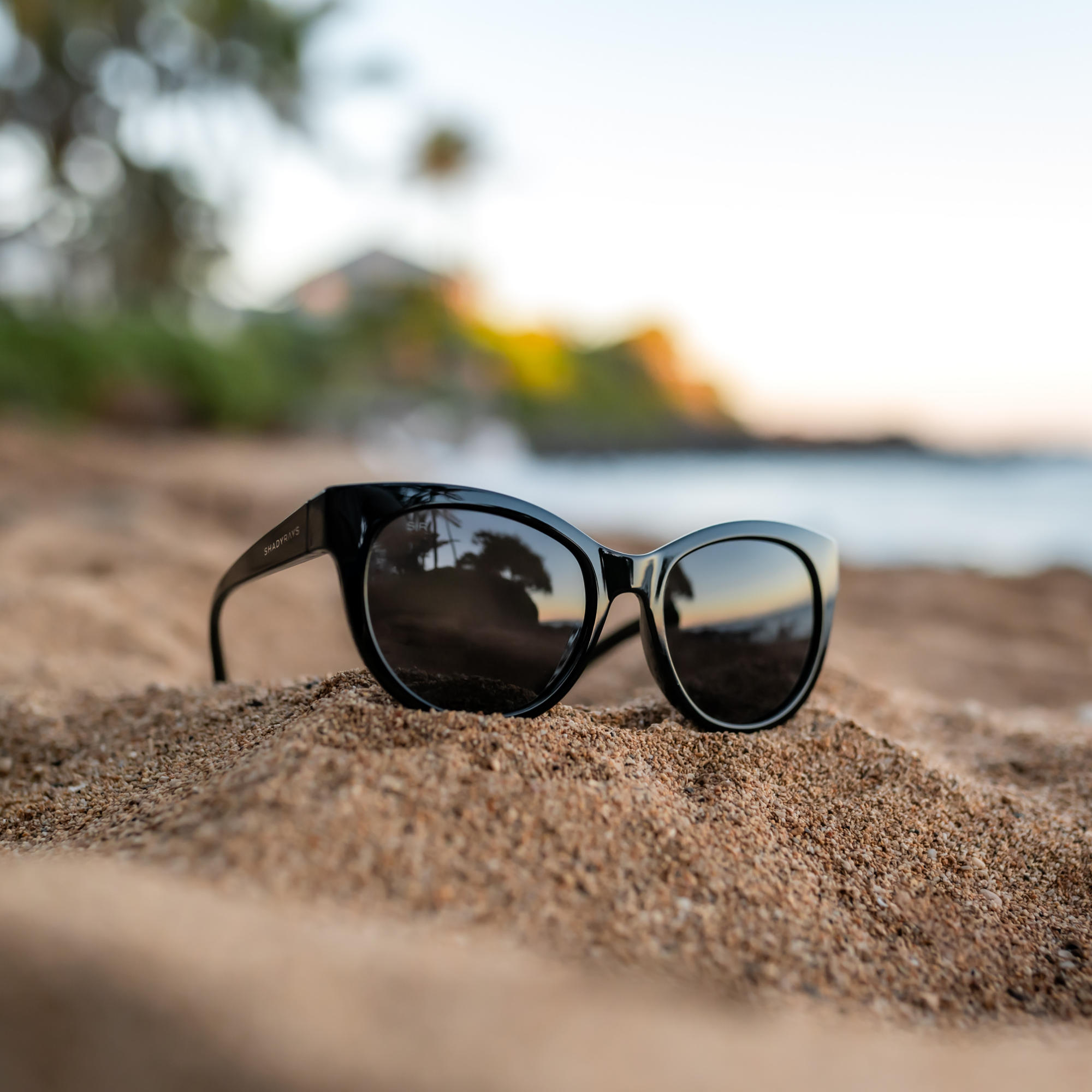 Lynx – Midnight Polarized