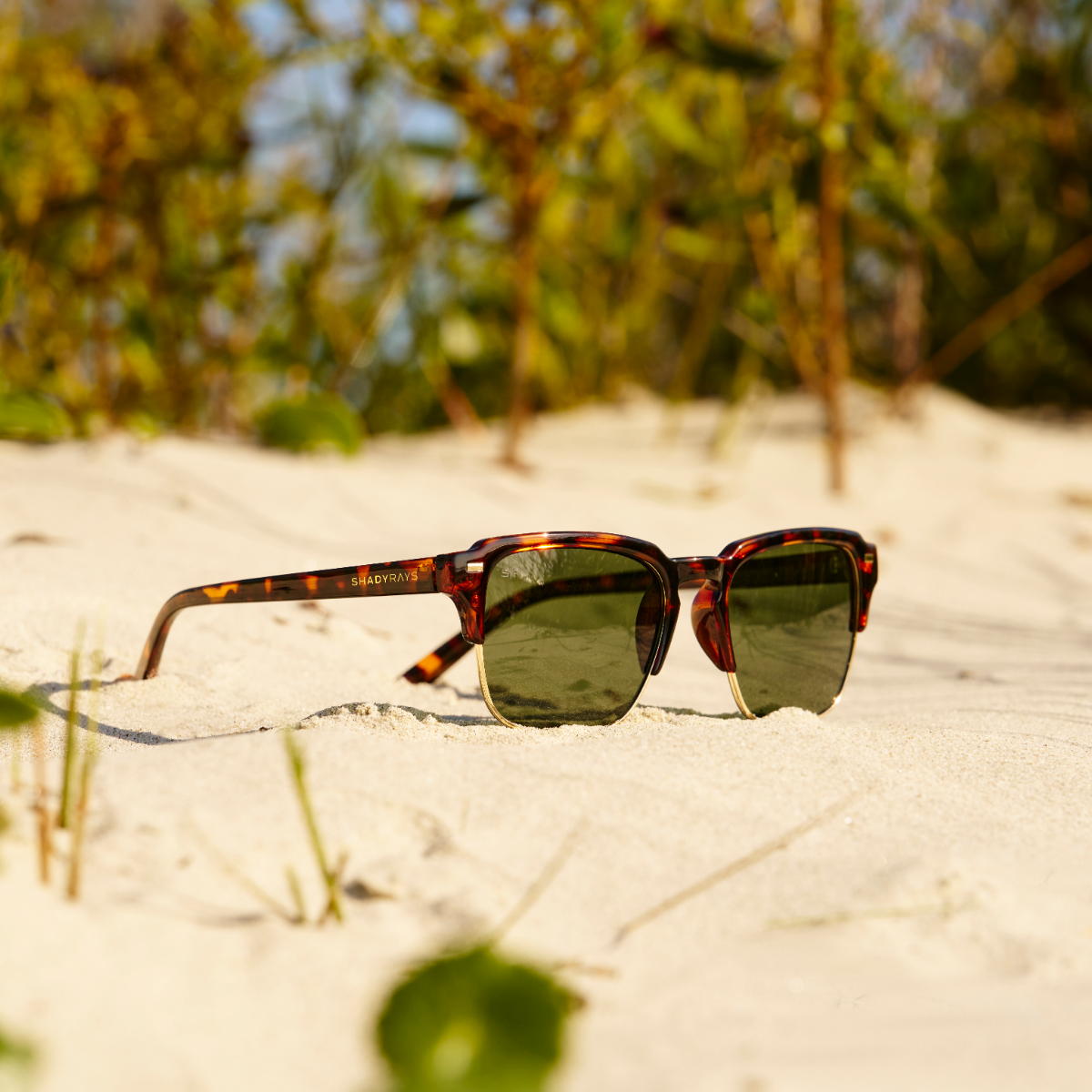 Kingbrook – Tortoise Green Polarized