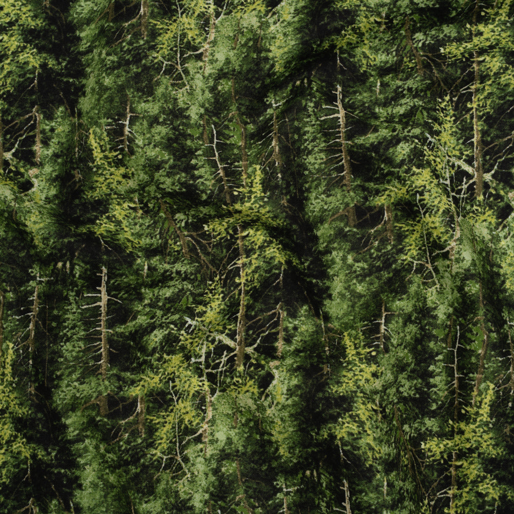 Printed Quilting Cotton by Northcott Studio - Mid Green Evergreen Trees - Naturescapes Collection - Joann Fabrics