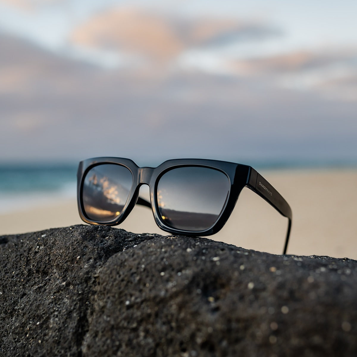 Dahlia – Midnight Polarized