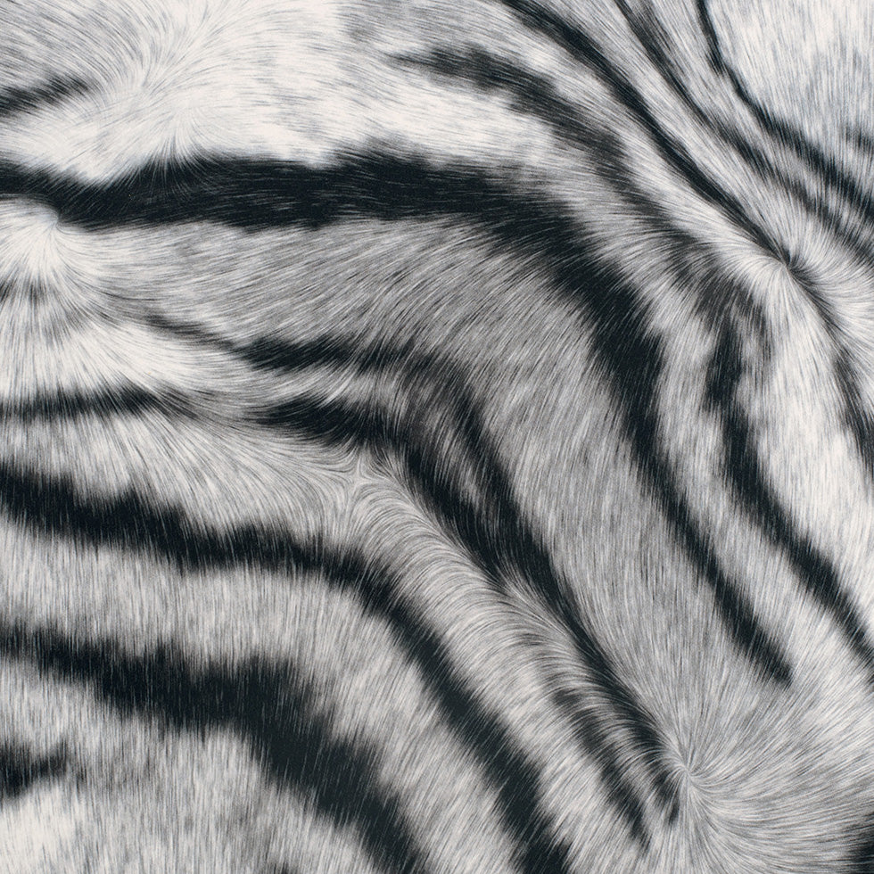 Black/White Zebra Printed Micro-Polyester and Cotton - Joann Fabrics