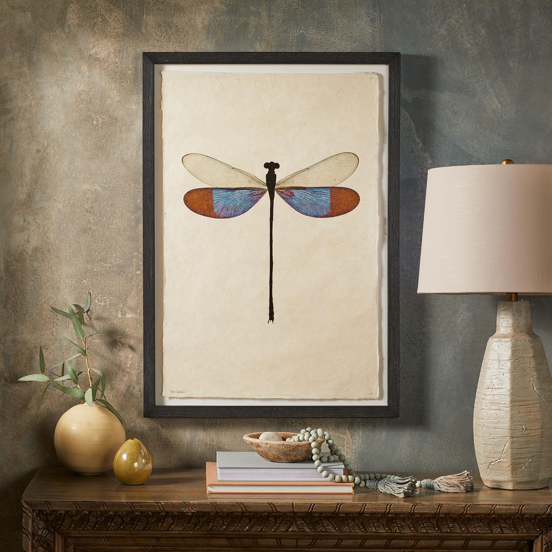 Dragonfly Studies Prints - Blair Catalog