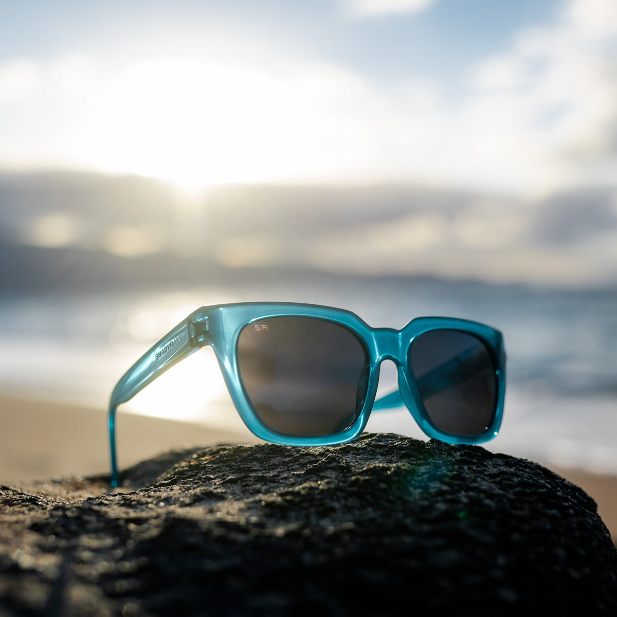 Dahlia – Seaside Polarized
