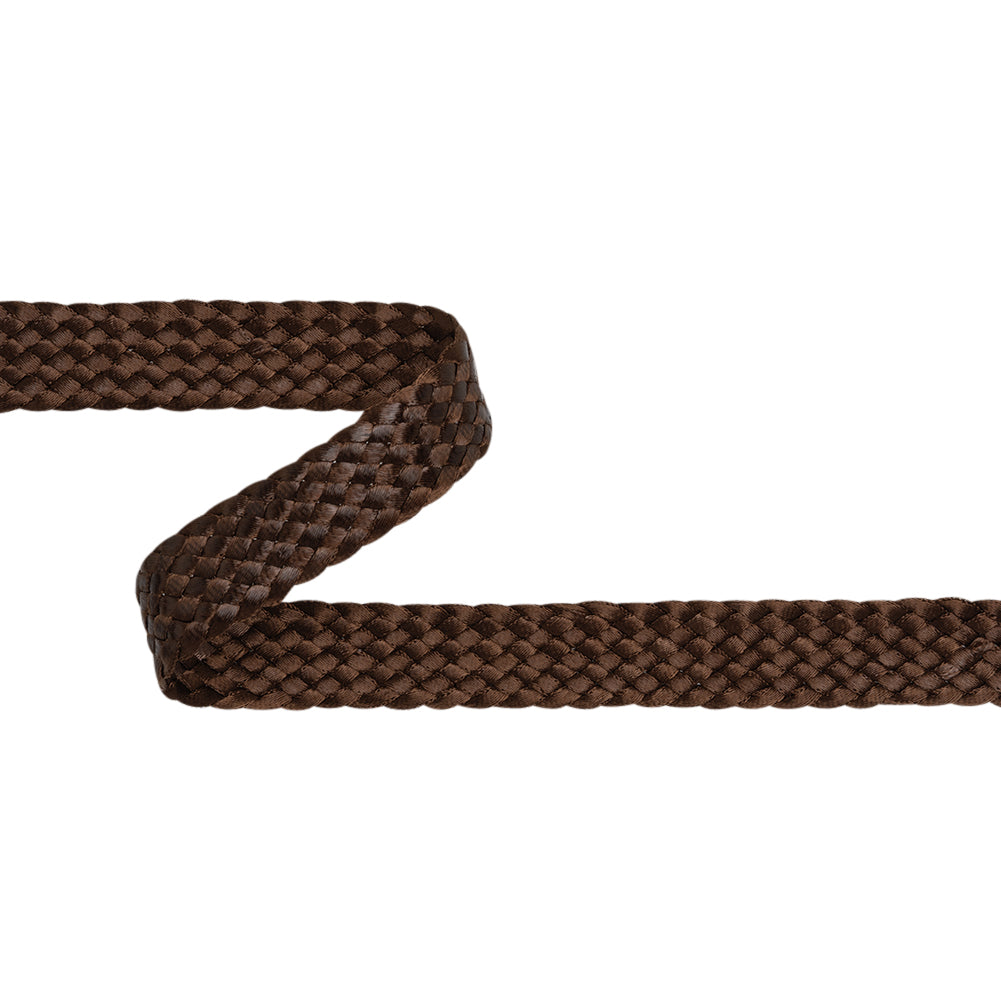 Yaya Han Sleek Braided Ribbon Trim - Viking Brown, 1