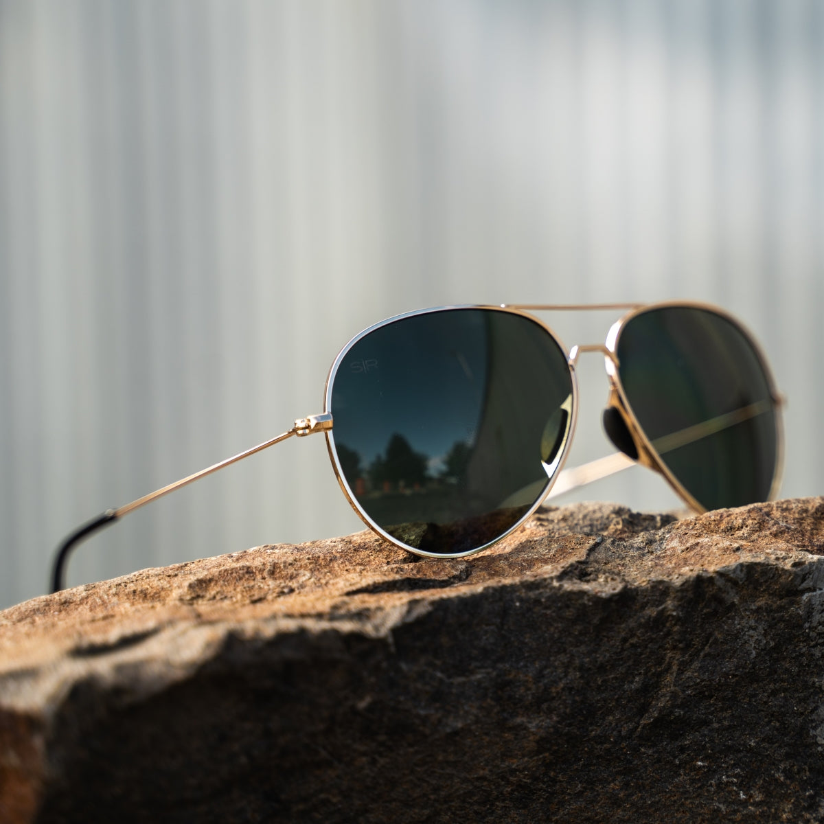 Tangle Free Aviator – Black Gold Polarized