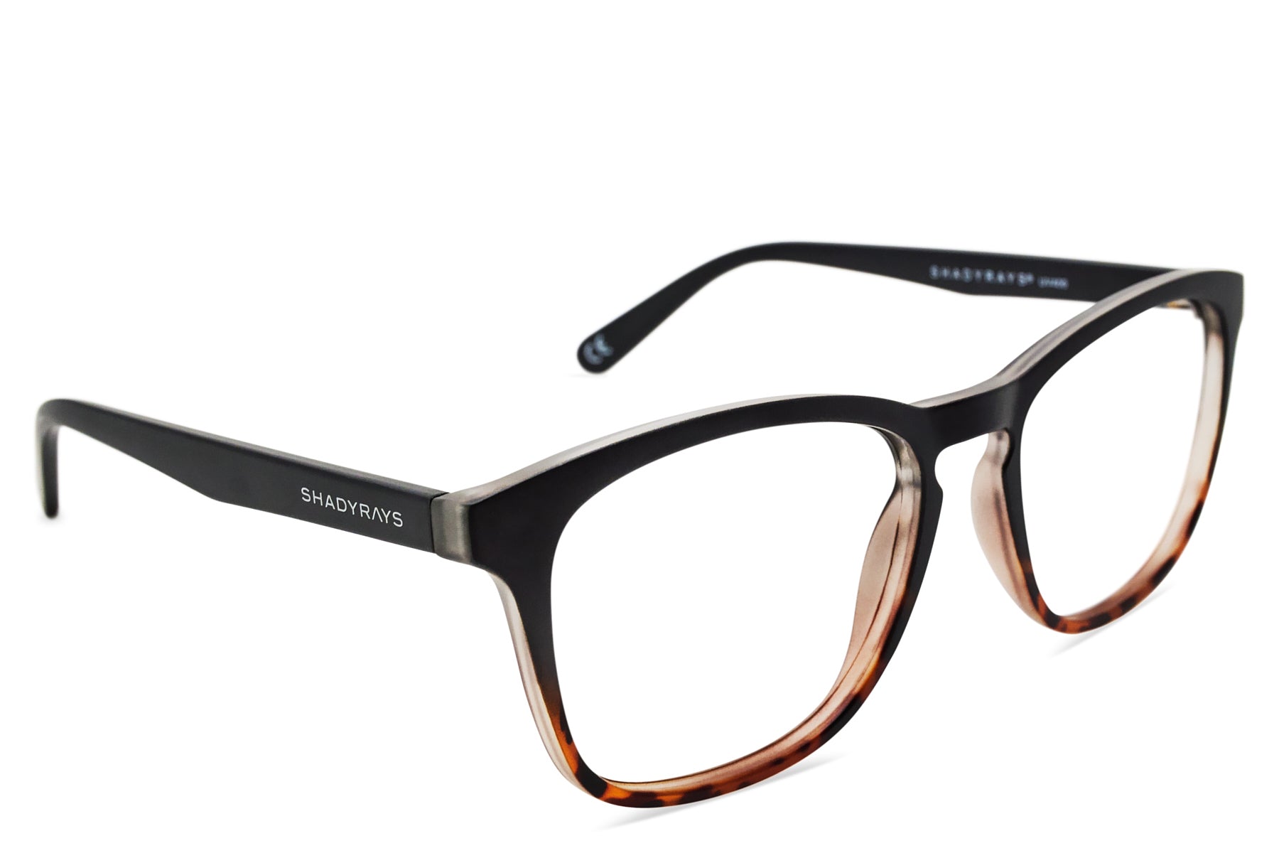 Cypress Rx – Black Tortoise