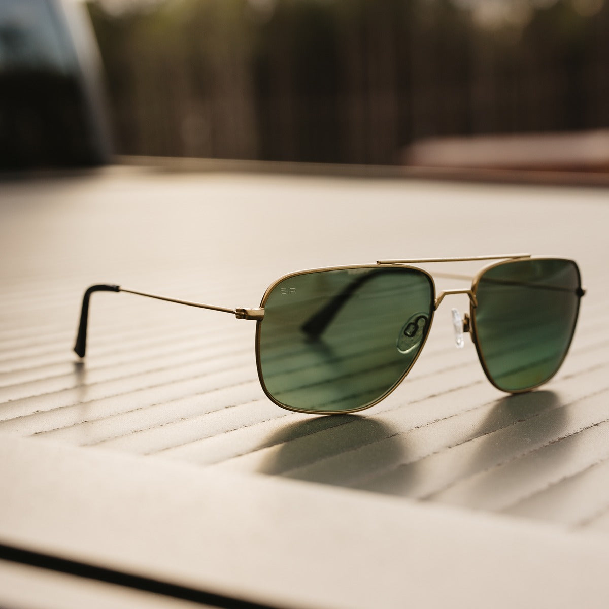 Navigator – Ridge Polarized