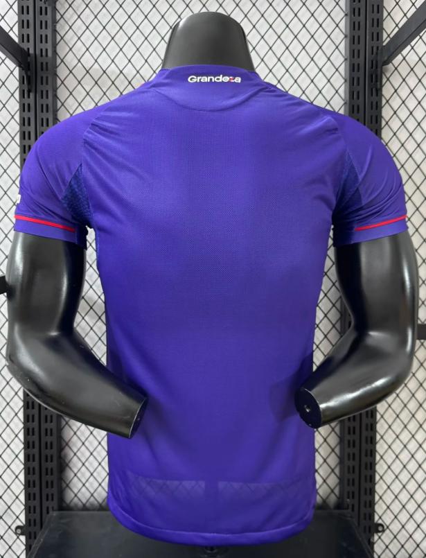 2025/2026 Player Version River Plate Third Away Football Jersey 1:1 Thai Quality