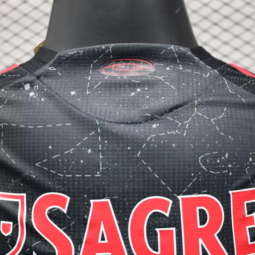 2024/2025 Player Version Benfica Away Football Shirt 1:1 Thai Quality