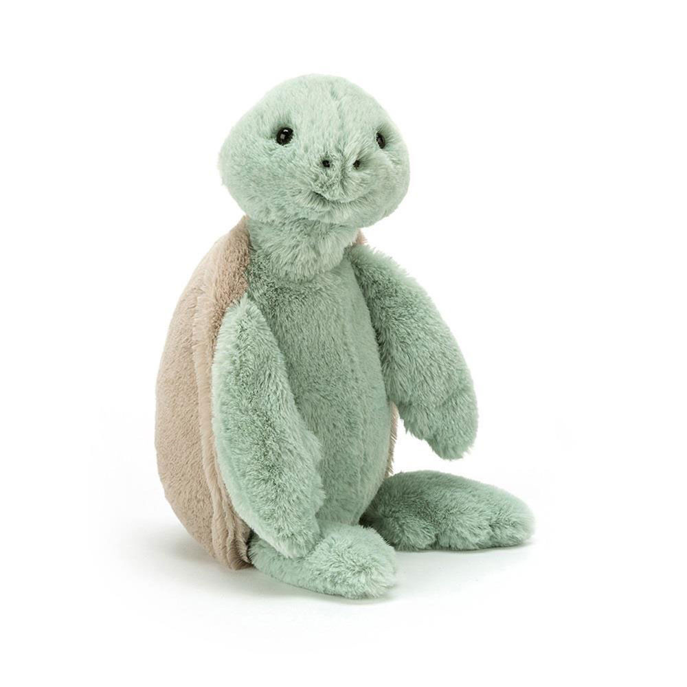If I Were a Turtle Board Book & Bashful Turtle Medium