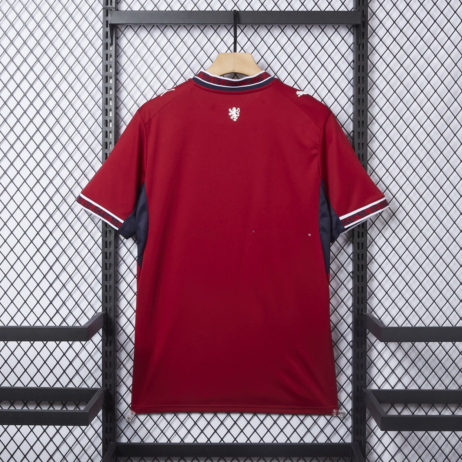 Czech Republic 2026 Home Jersey - Fans Version - UnitedFutballJersey
