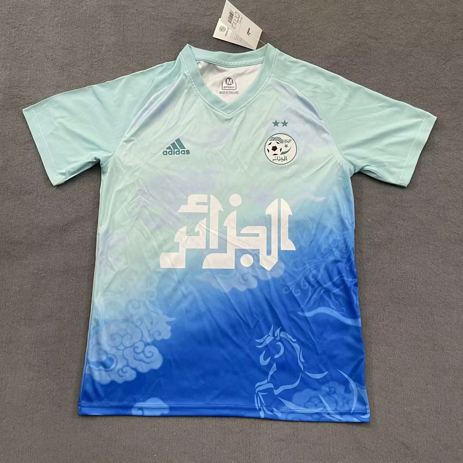 2025/2026 Algeria National Team Training clothes Football Shirt 1:1 Thai Quality