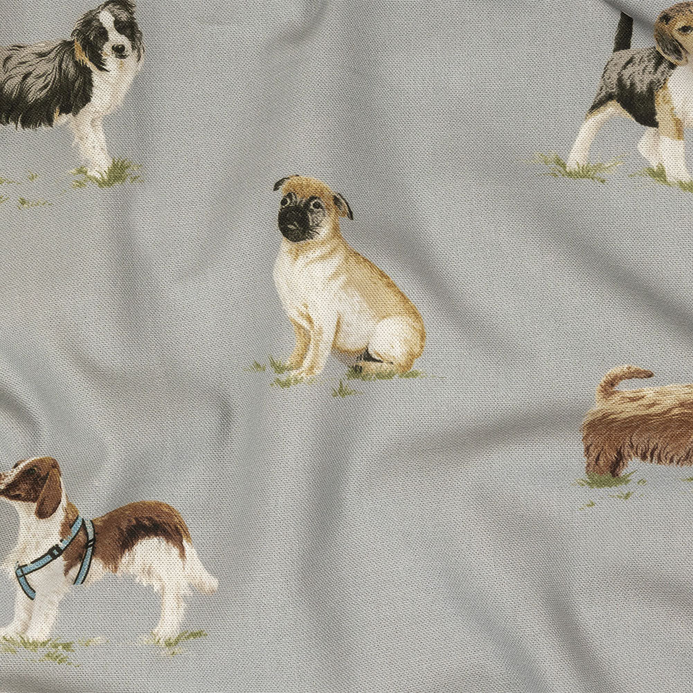 Cotton Canvas Print - Danube Puppy Parade - British Imported - Joann Fabrics