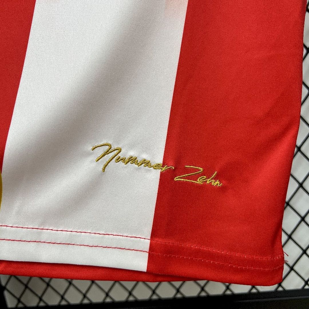 2025/2026 Bayern Munich Special Edition Football Jersey 1:1 Thai Quality
