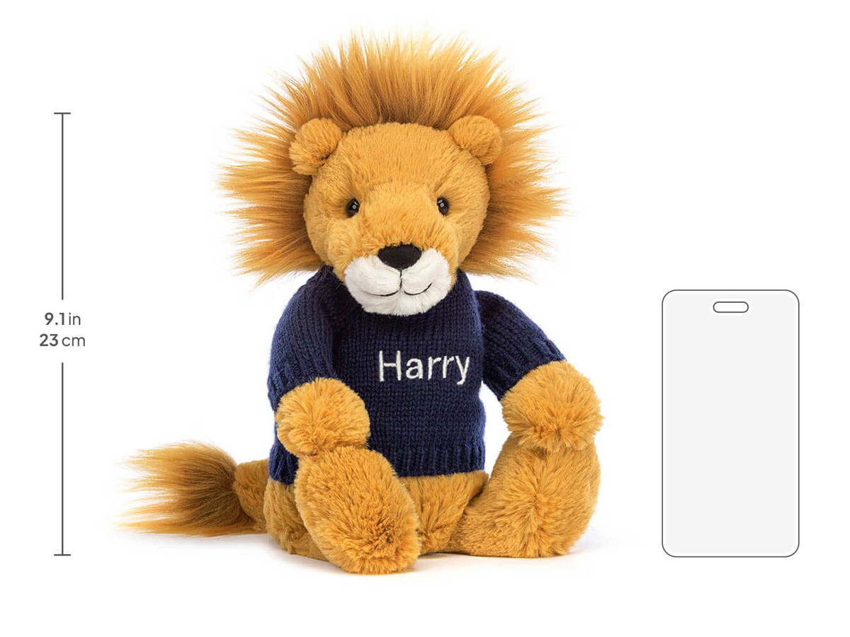 Bashful Lion with Personalized Navy Jumper