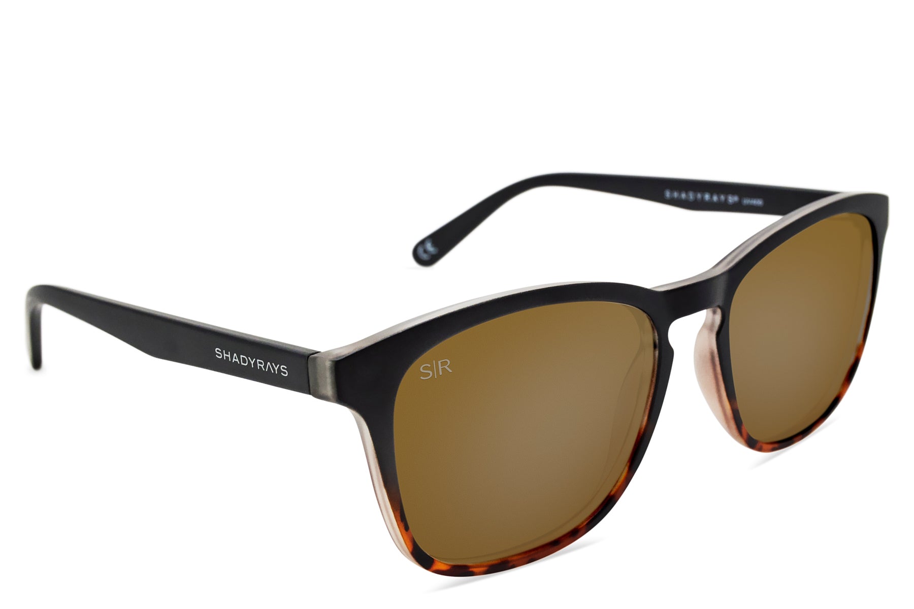 Cypress – Black Tortoise Polarized