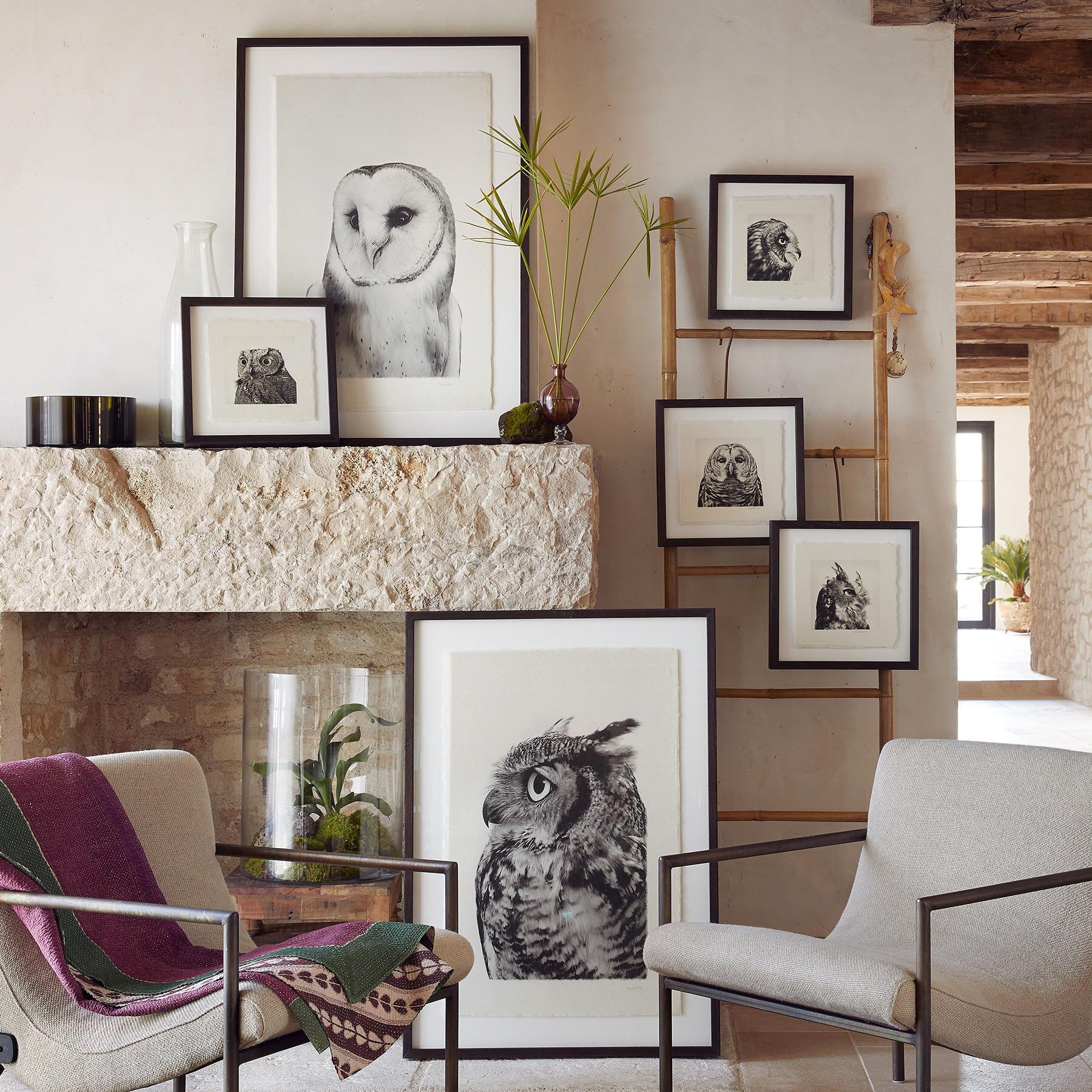Owl Prints - Blair Catalog