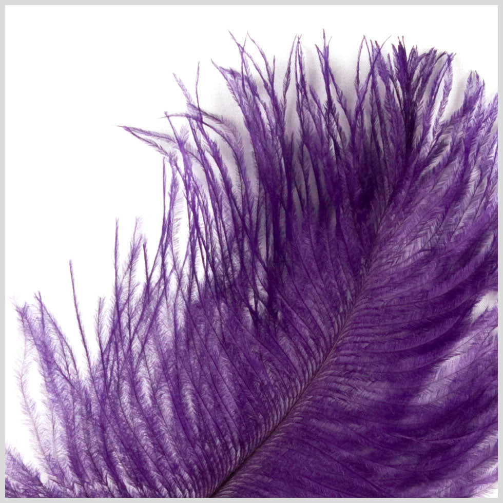 Purple Ostrich Feather - 10