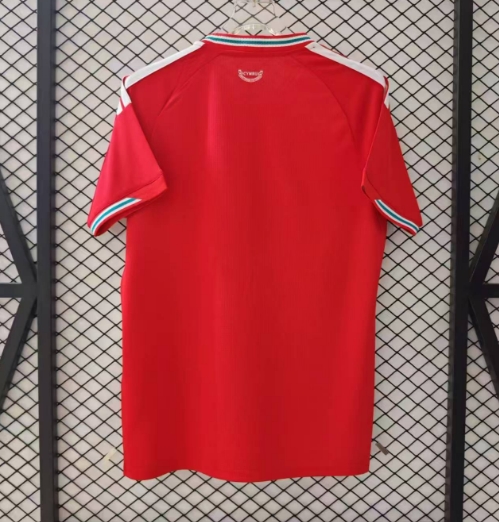 2026 Wales Home Football Shirt 1:1 Thai Quality