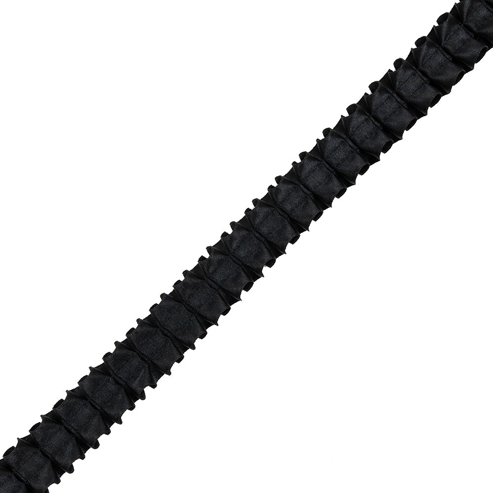 Italian Black Box Pleated Trimming - 1