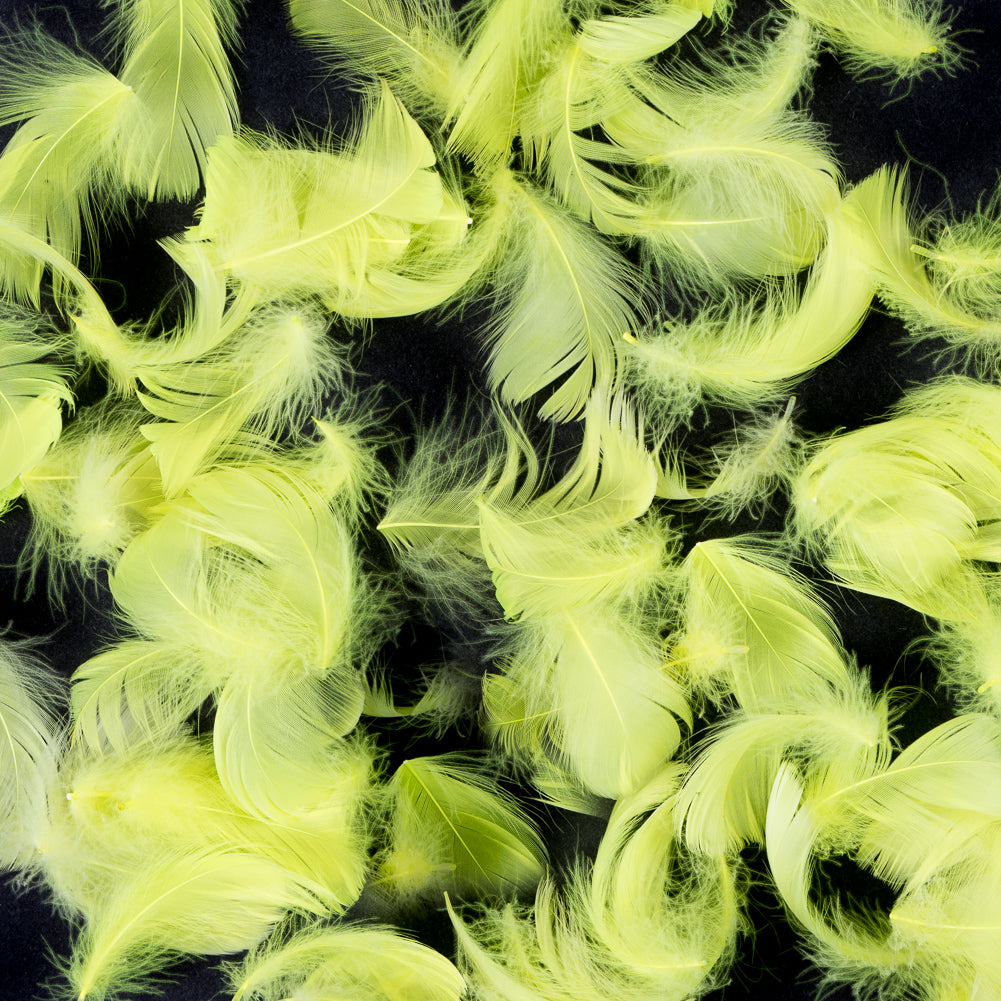 Feather Trim - Joann Fabrics