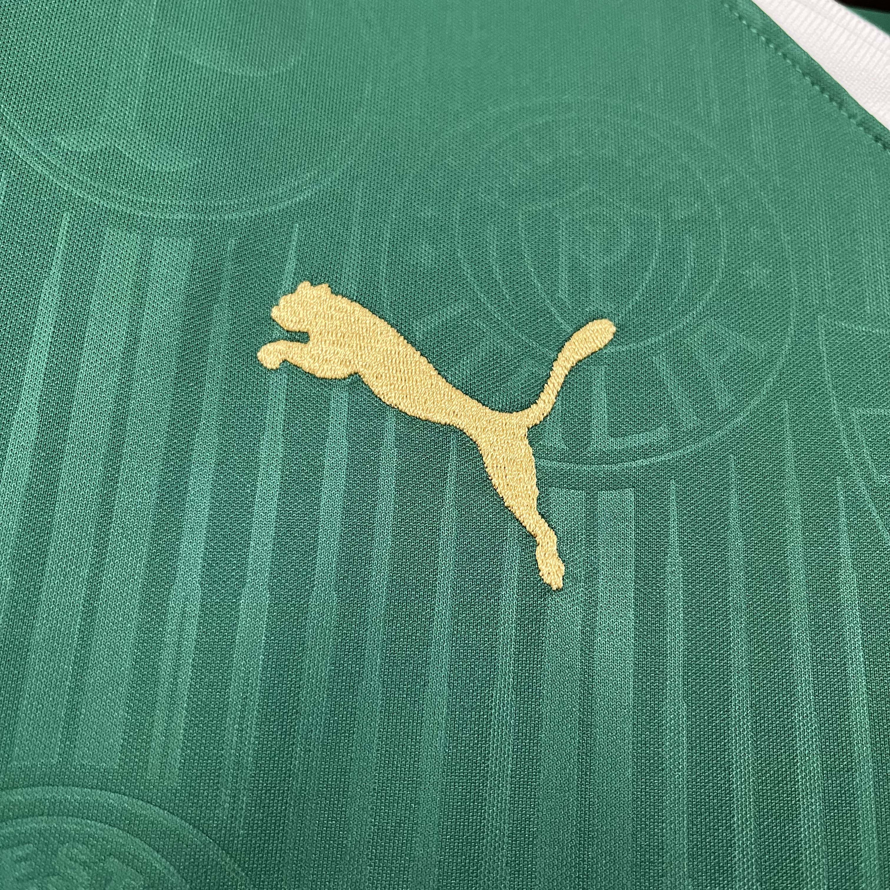 2024/2025 Palmeiras Home Jersey 1:1 Thai Quality