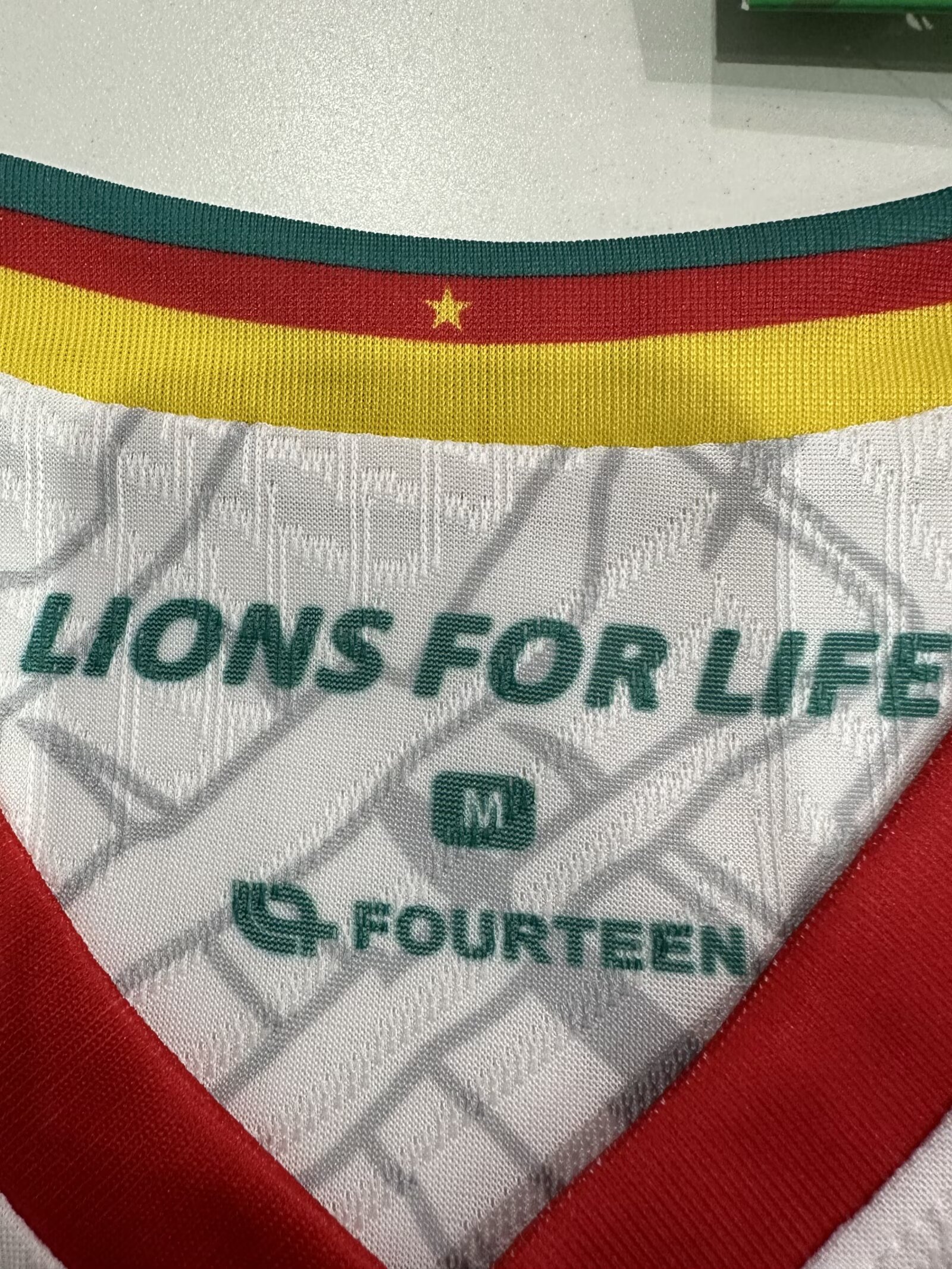 2025/2026 Player Version Cameroon Third Away Football Shirt 1:1 Thai Quality