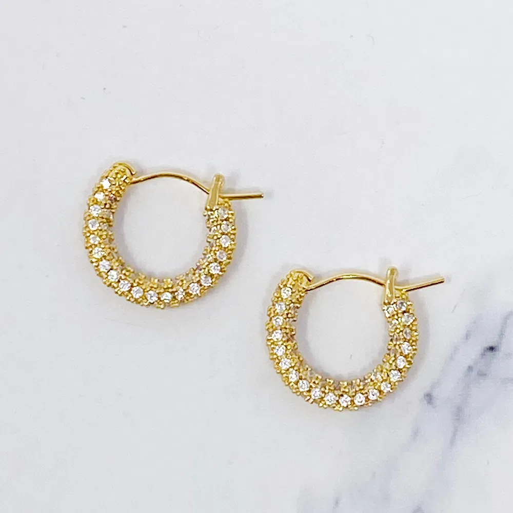 Elegant Shine Hoop Earrings - Grocery