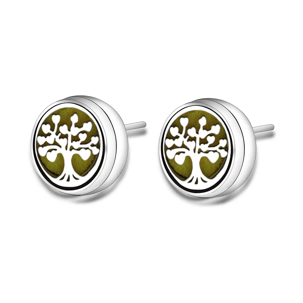 Stainless Steel Aromatic Earrings - Grocery
