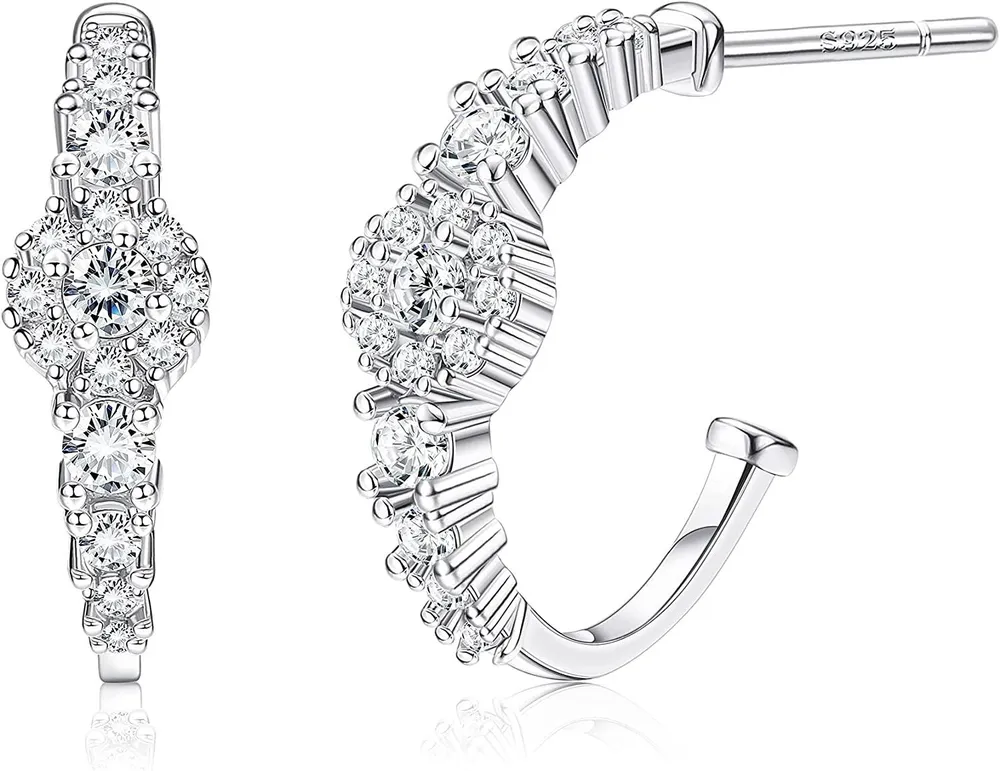 925 Sterling Silver Zircon Stud Earrings Round Earrings for Women - Grocery